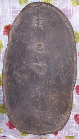 African Antique Shield